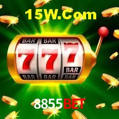 Segurança e performance na plataforma 8855Bet